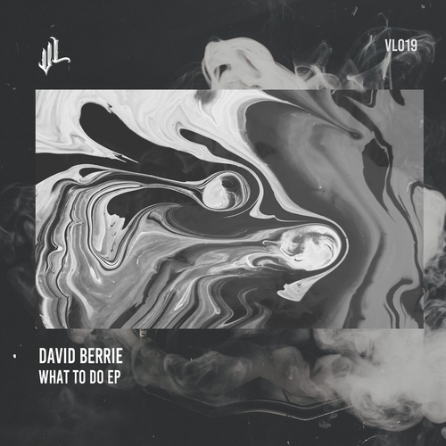 David Berrie - What To Do [VL019]